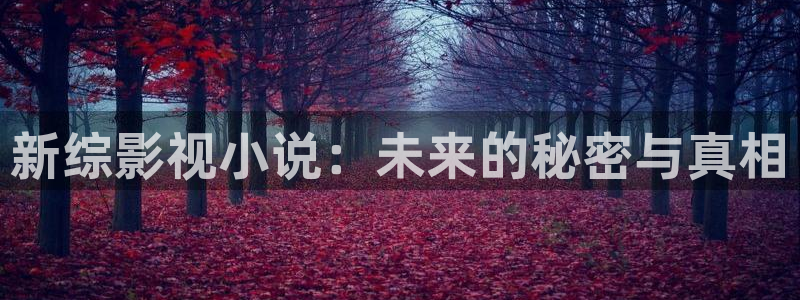 小小影视电视剧