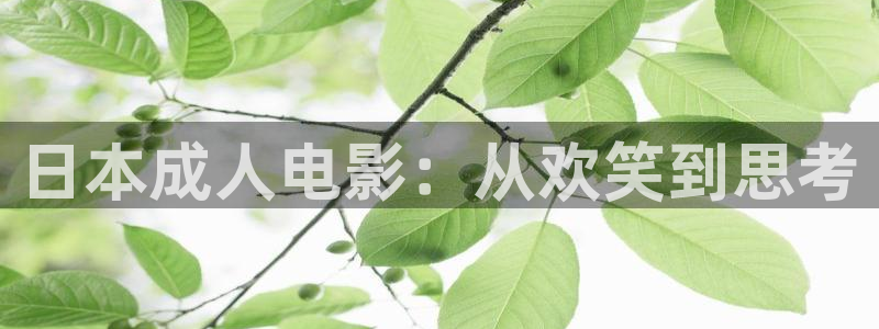 小小影视免费高清观看