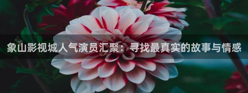 小小影院大全